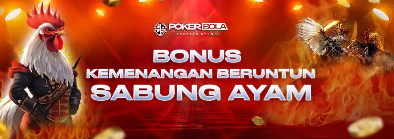 bonus Kemenangan Beruntun Sabung Ayam